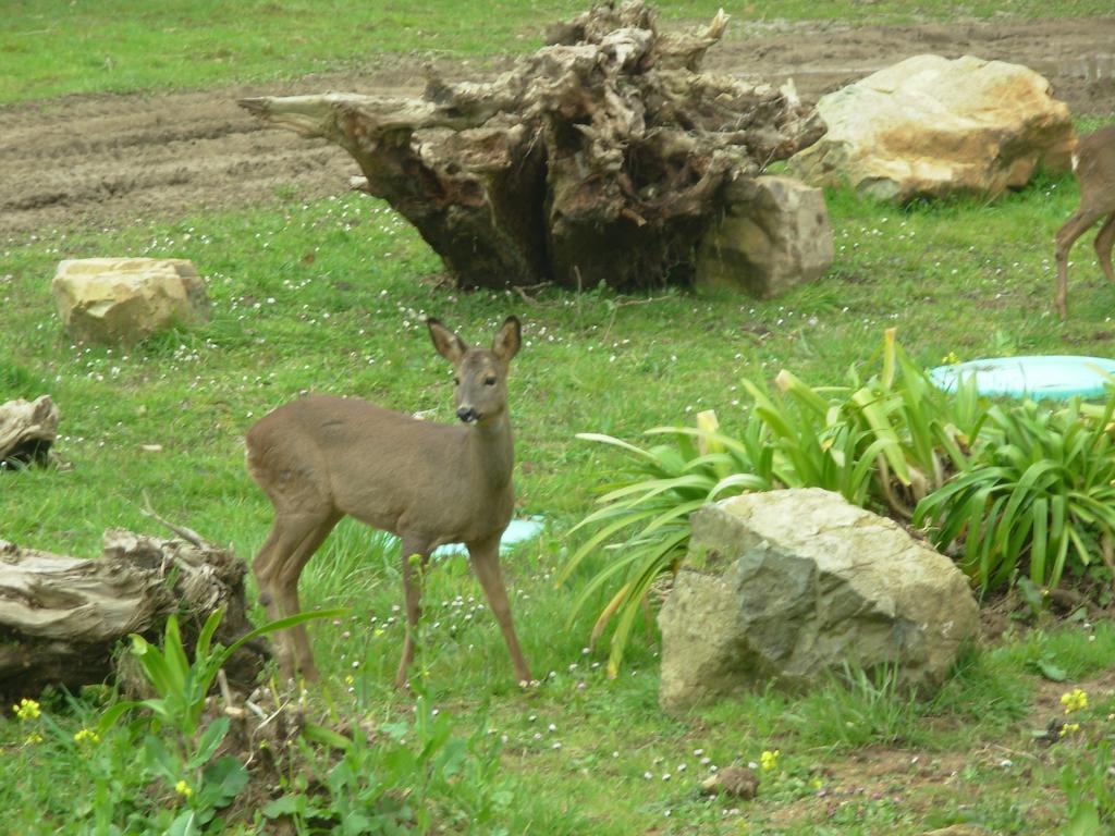 Manoir De Kergrec'H Hotel Plougrescant Bagian luar foto
